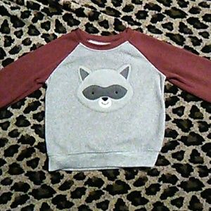 Super Soft and Warm Raccoon Sweatshirt 12 Months